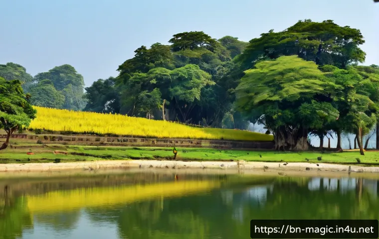 ম্যাজিক শেখার জন্য ক্লাব বাছাই: সদস্য ফি, অনুশীলনের সুযোগ ও সঠিক দল নির্বাচনের গাইড 4 마술 동호회 관련 이미지 2
